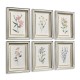 Petals and Process - Set of 6