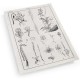 Botanica: The Art of Knowledge - Set of 4