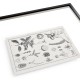 Botanica: The Art of Knowledge - Set of 4