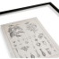 Botanica: The Art of Knowledge - Set of 4