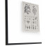 Botanica: The Art of Knowledge - Set of 4