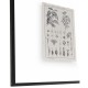 Botanica: The Art of Knowledge - Set of 4