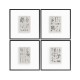 Botanica: The Art of Knowledge - Set of 4