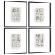 Botanica: The Art of Knowledge - Set of 4