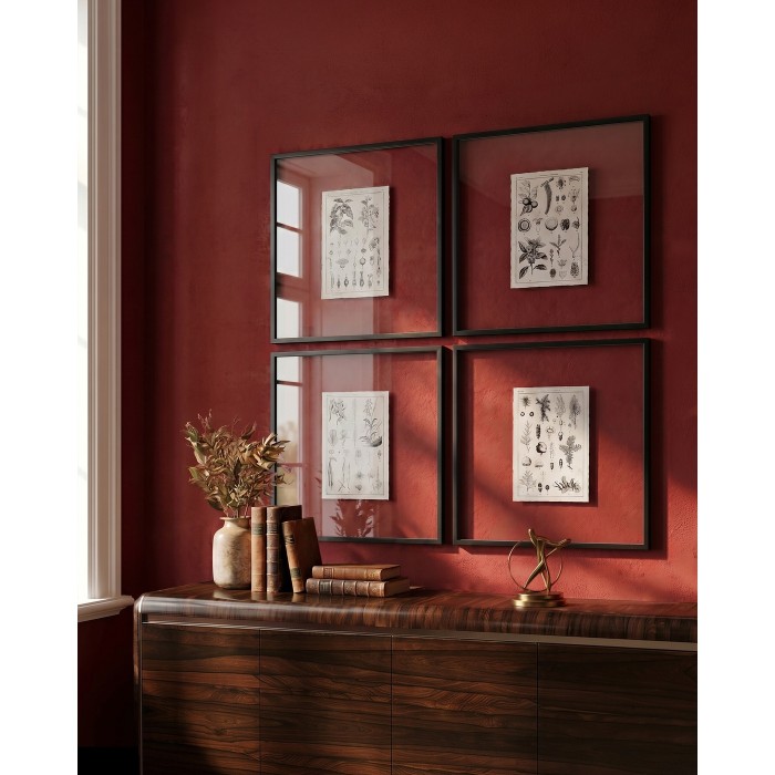 Botanica: The Art of Knowledge - Set of 4