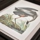 Audubon Birds - Set of 6