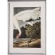 Audubon Birds - Set of 6