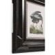 Audubon Birds - Set of 6