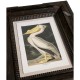 Audubon Birds - Set of 6