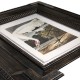 Audubon Birds - Set of 6