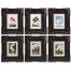 Audubon Birds - Set of 6