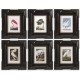 Audubon Birds - Set of 6