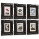 Audubon Birds - Set of 6