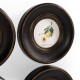 Vintage Fruit No. 1 - Set of 4