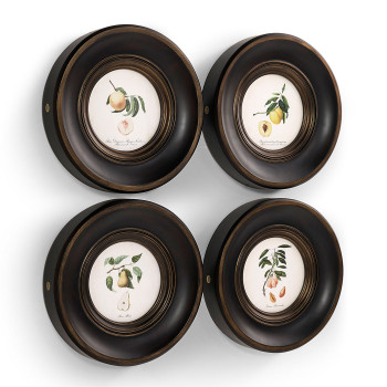 Vintage Fruit No. 1 - Set of 4
