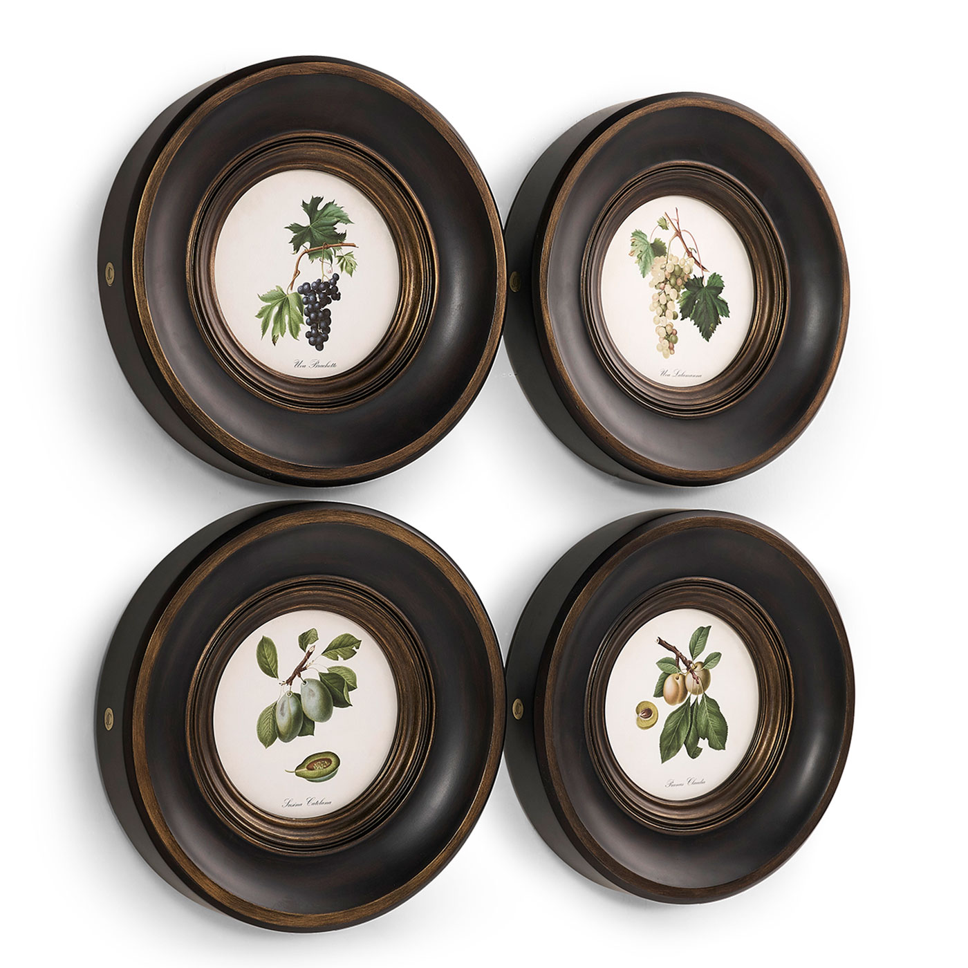 Vintage Fruit No. 3 - Set of 4