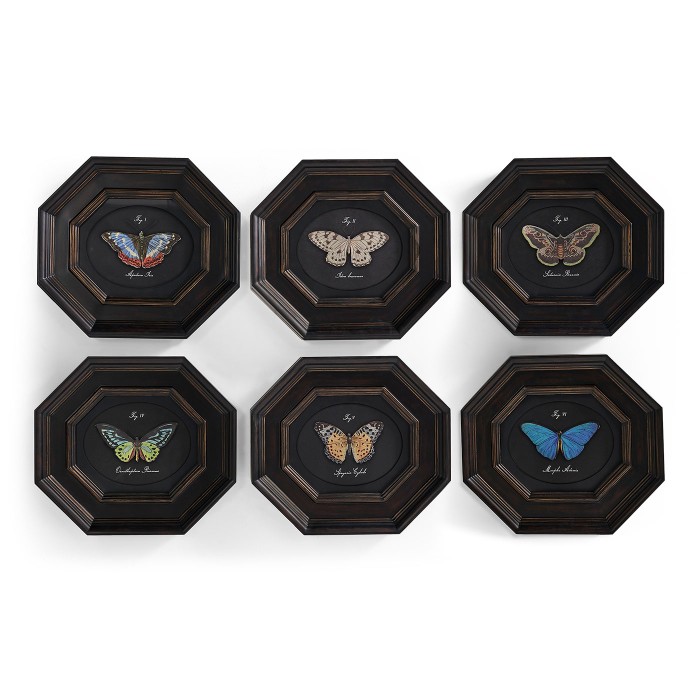 Wings of Discovery – Set of 6