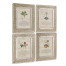 Herbal of Enlightenment - Set of 4