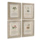 Herbal of Enlightenment - Set of 4