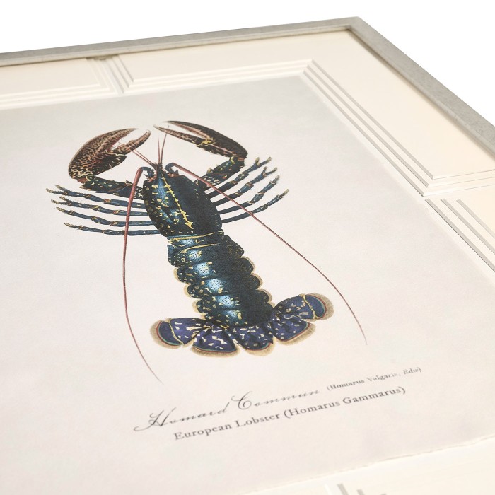 Vintage Marine Animals - Set of 4