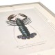 Vintage Marine Animals - Set of 4