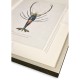Vintage Marine Animals - Set of 4