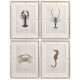 Vintage Marine Animals - Set of 4