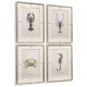 Vintage Marine Animals - Set of 4