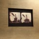 First Light of Flight - Set of 4