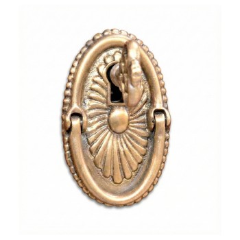 Escutcheon handle