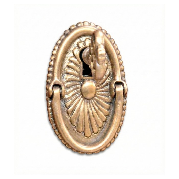Escutcheon handle