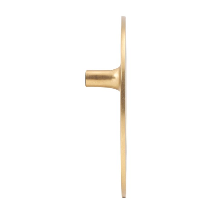 Antique Door Pull