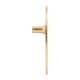 Antique Door Pull