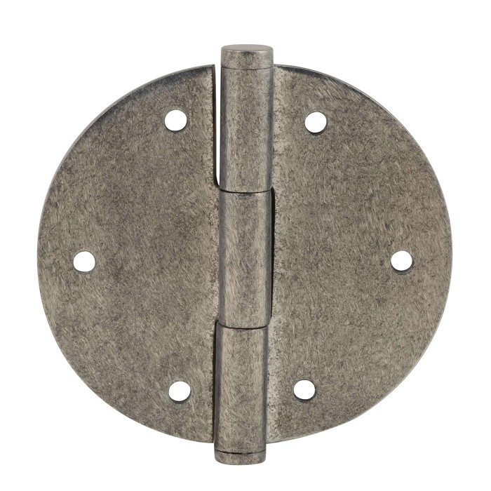 Stainless Steel Door Hinge
