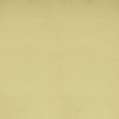 Polished Brass High Lustre